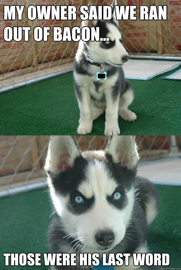My owner said we ran out of bacon... those were his last word  Insanity puppy