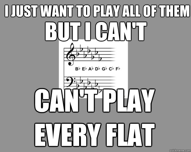 i just want to play all of them but i can't can't play 
every flat  Musician Problems