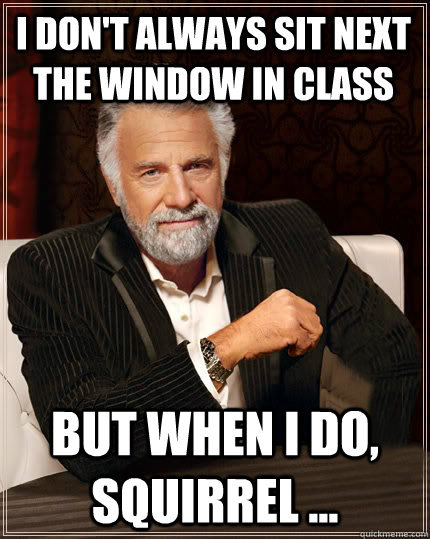 I don't always sit next the window in class  But when I do, Squirrel ... - I don't always sit next the window in class  But when I do, Squirrel ...  Beerless Most Interesting Man in the World