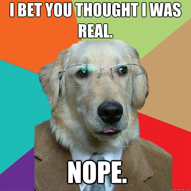 I bet you thought I was real.
 Nope. - I bet you thought I was real.
 Nope.  Business Dog
