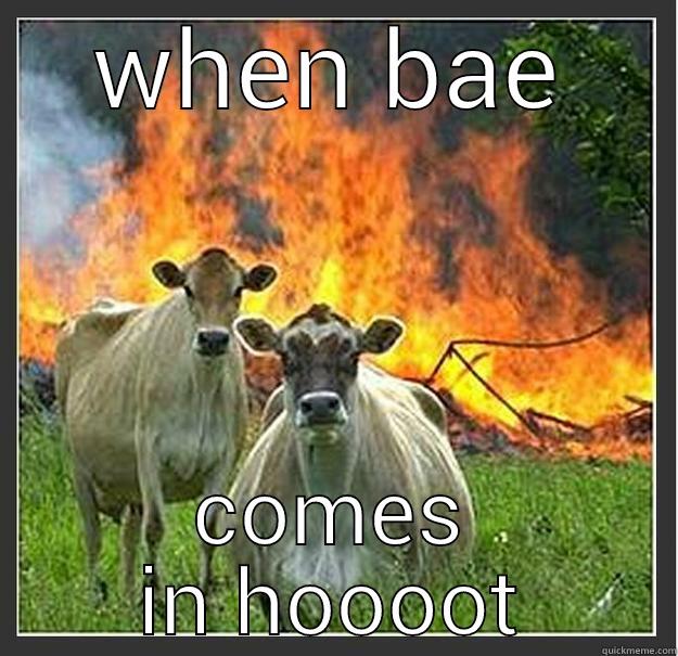 bae is hooot - WHEN BAE COMES IN HOOOOT Evil cows