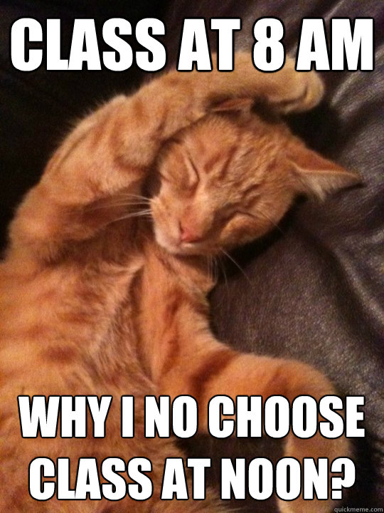 Class at 8 AM Why I no choose class at noon? - Class at 8 AM Why I no choose class at noon?  Moniques cat