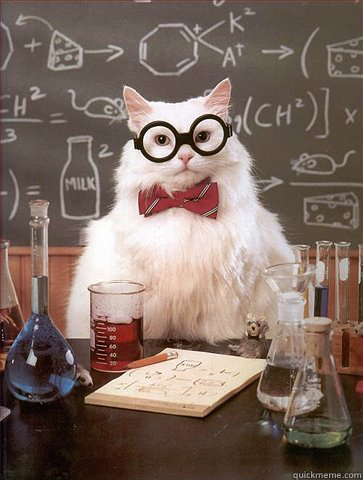 Happy Belated Birthday Anna! -   Science Cat