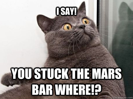 I say! You stuck the mars bar where!?  conspiracy cat