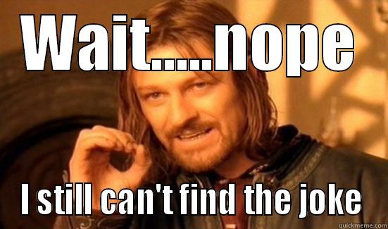 WAIT.....NOPE I STILL CAN'T FIND THE JOKE Boromir