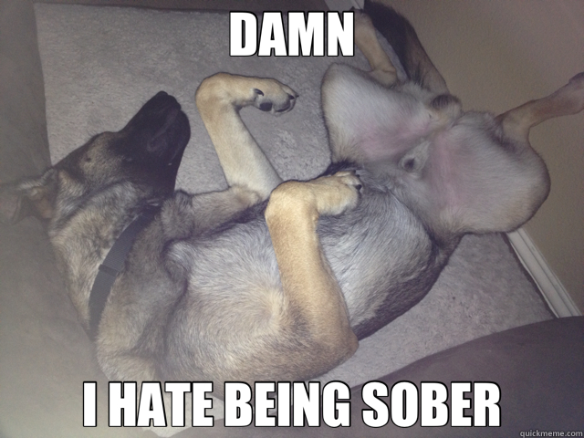 DAMN I HATE BEING SOBER  