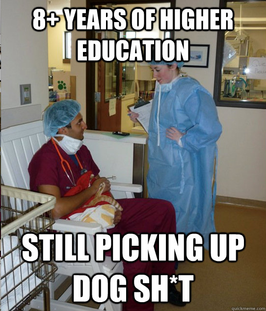 8+ years of higher education still picking up dog sh*t  Overworked Veterinary Student