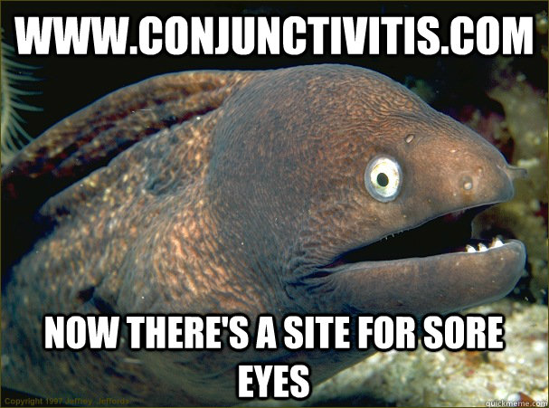 www.conjunctivitis.com Now there's a site for sore eyes  Bad Joke Eel