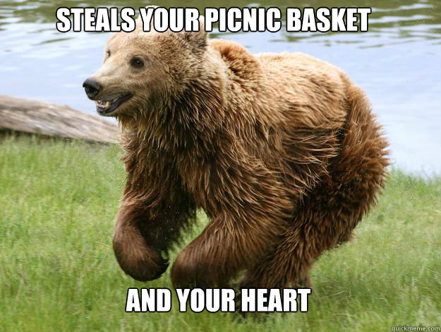 Steals your picnic basket and your heart - Steals your picnic basket and your heart  Ridiculously Photogenic Brown Bear