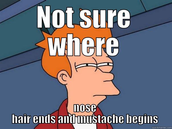 NOT SURE WHERE NOSE HAIR ENDS AND MUSTACHE BEGINS Futurama Fry