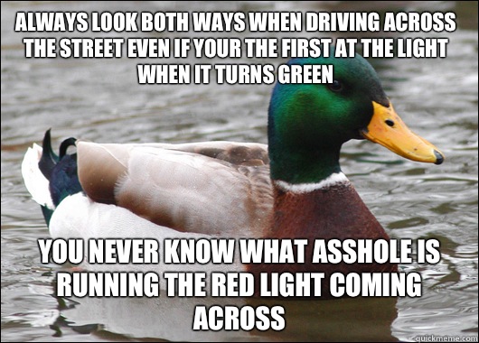 Always look both ways when driving across the street even if your the first at the light when it turns green  You never know what asshole is running the red light coming across   Actual Advice Mallard
