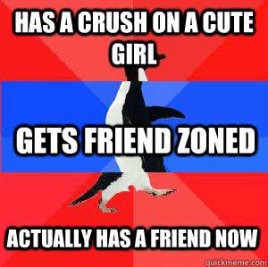 Has a crush on a cute girl gets friend zoned actually has a friend now  Socially awesome awkward awesome penguin
