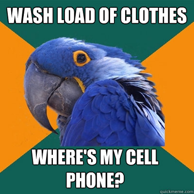 wash load of clothes Where's my cell phone?  Paranoid Parrot