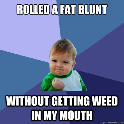 rolled a fat blunt without getting weed in my mouth - rolled a fat blunt without getting weed in my mouth  Success Kid