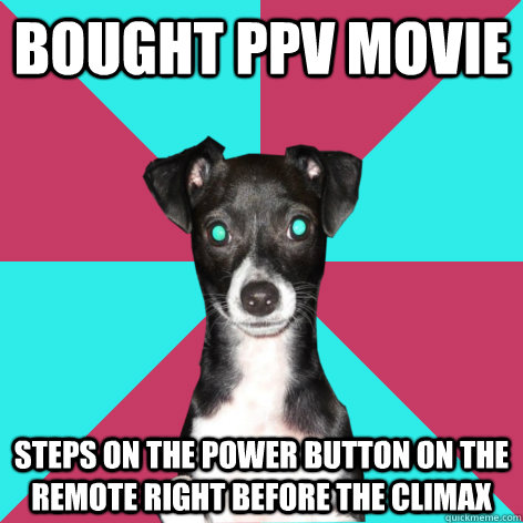 Bought PPV Movie steps on the power button on the remote right before the climax - Bought PPV Movie steps on the power button on the remote right before the climax  Dickhead Dog