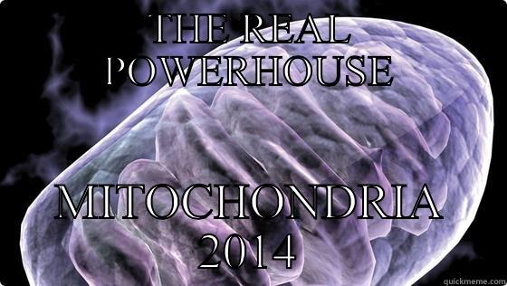 THE REAL POWERHOUSE MITOCHONDRIA 2014 Misc