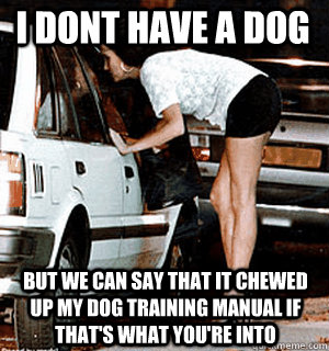 I dont have a dog But we can say that it chewed up my dog training manual if that's what you're into  Karma Whore