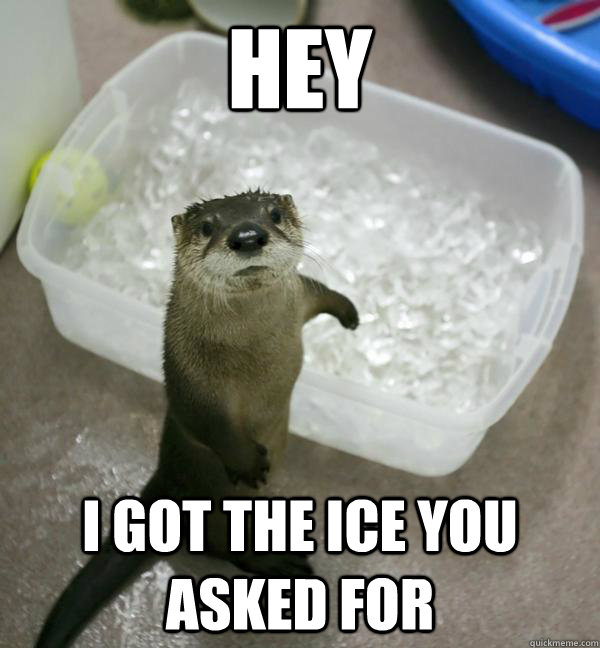Hey I got the ice you asked for - Hey I got the ice you asked for  helpful otter