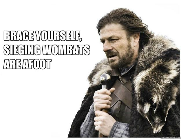 Brace yourself,
sieging wombats
are afoot
  Imminent Ned