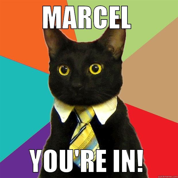 MARCEL YOU'RE IN! Business Cat