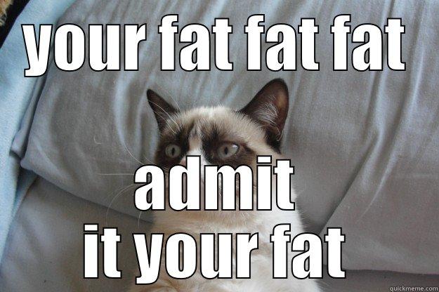 your fat fat fat - YOUR FAT FAT FAT ADMIT IT YOUR FAT Grumpy Cat