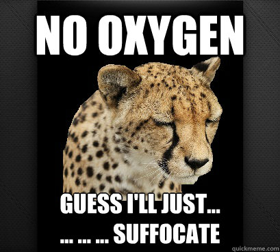 no oxygen guess i'll just...
... ... ... suffocate - no oxygen guess i'll just...
... ... ... suffocate  Defeated Cheetah