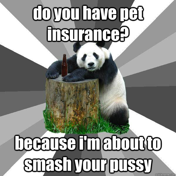 do you have pet insurance? because i'm about to smash your pussy - do you have pet insurance? because i'm about to smash your pussy  Pickup-Line Panda