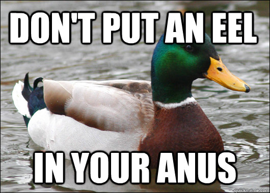 Don't put an eel in your anus  Actual Advice Mallard