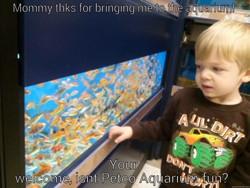 MOMMY THKS FOR BRINGING ME TO THE AQUARIUM! YOUR WELCOME, ISNT PETCO AQUARIUM FUN?  Misc