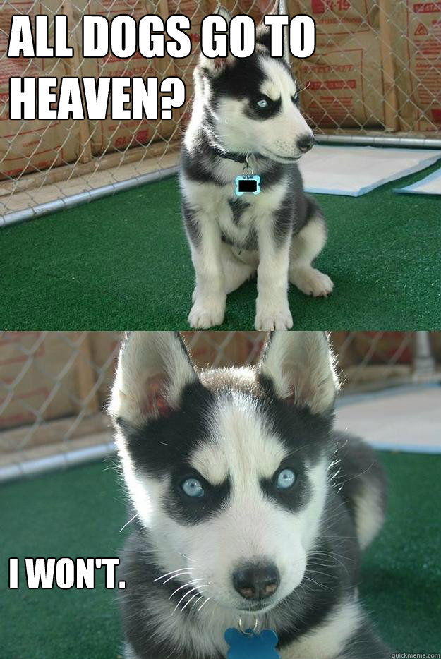 All dogs go to heaven? I won't.  Insanity puppy