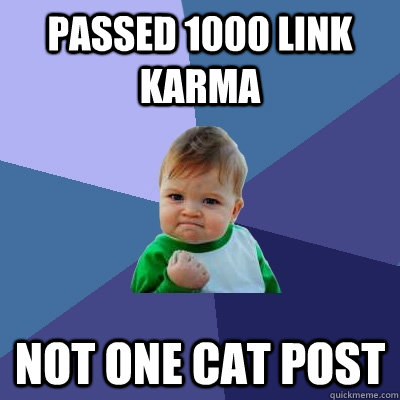 Passed 1000 Link Karma Not one cat post  Success Kid