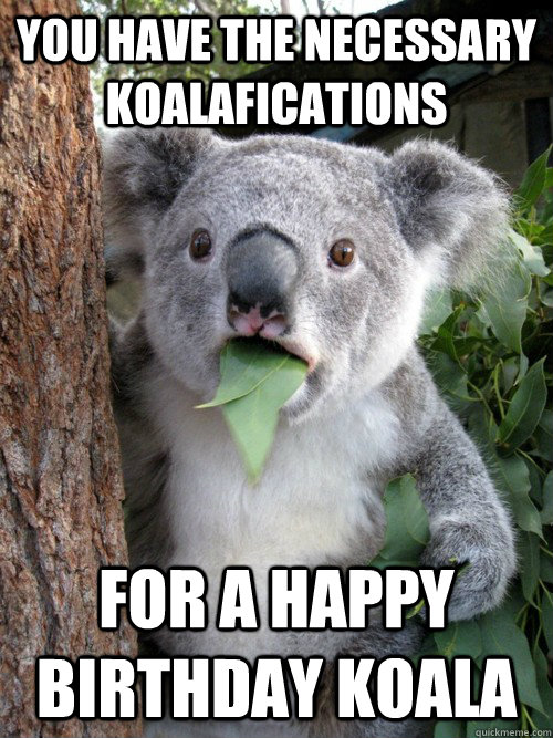 You have the necessary koalafications FOr a HAPPY BIRTHDAY KOALA  koala bear