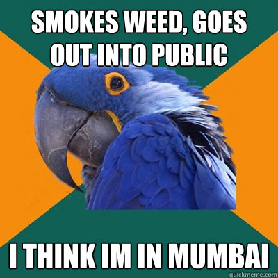 smokes weed, goes out into public I think im in mumbai  Paranoid Parrot