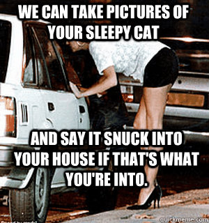 We can take pictures of your sleepy cat and say it snuck into your house if that's what you're into. - We can take pictures of your sleepy cat and say it snuck into your house if that's what you're into.  Karma Whore