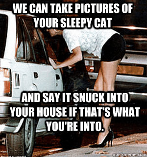 We can take pictures of your sleepy cat and say it snuck into your house if that's what you're into.  Karma Whore