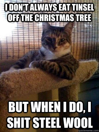 I don't always eat tinsel off the christmas tree but when I do, I shit steel wool  The Most Interesting Cat in the World