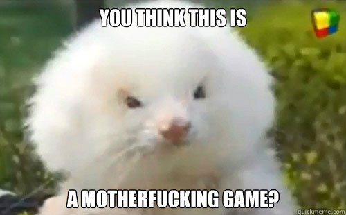 you think this is a motherfucking game? - you think this is a motherfucking game?  Angry Poodle Ferret
