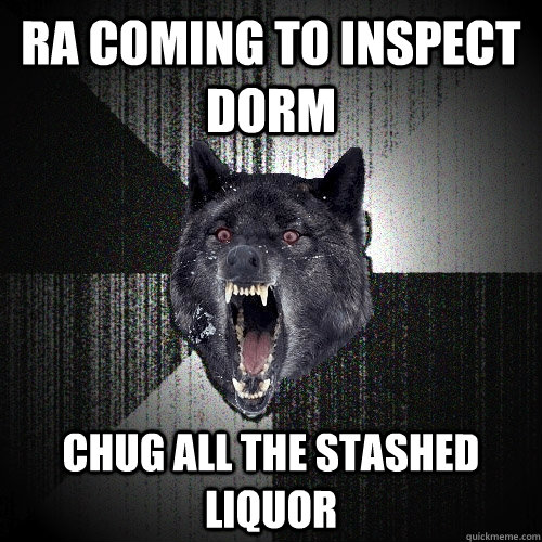 ra coming to inspect dorm chug all the stashed liquor - ra coming to inspect dorm chug all the stashed liquor  Insanity Wolf