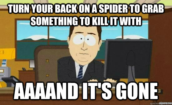 Turn your back on a spider to grab something to kill it with  AAAAND It's gone  aaaand its gone