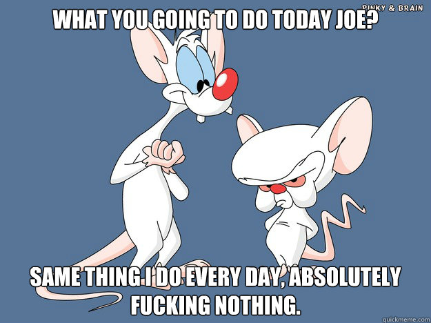 What you going to do today Joe? Same thing I do every day, absolutely fucking nothing. - What you going to do today Joe? Same thing I do every day, absolutely fucking nothing.  Pinky and the Brain