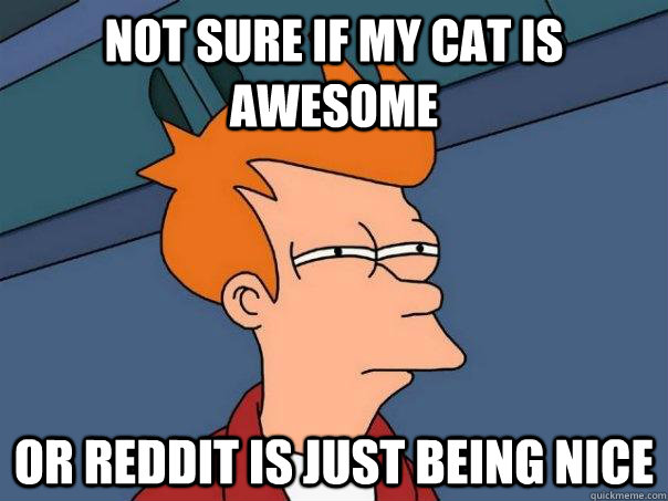 Not sure if my cat is awesome Or reddit is just being nice  Futurama Fry