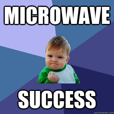 microwave success  Success Kid