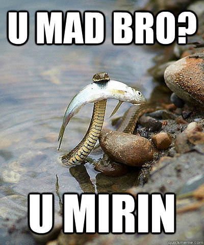 u mad bro? u mirin - u mad bro? u mirin  Fishing Snake