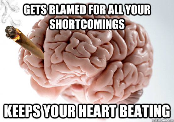 gets blamed for all your shortcomings Keeps your heart beating  Good Guy Brain