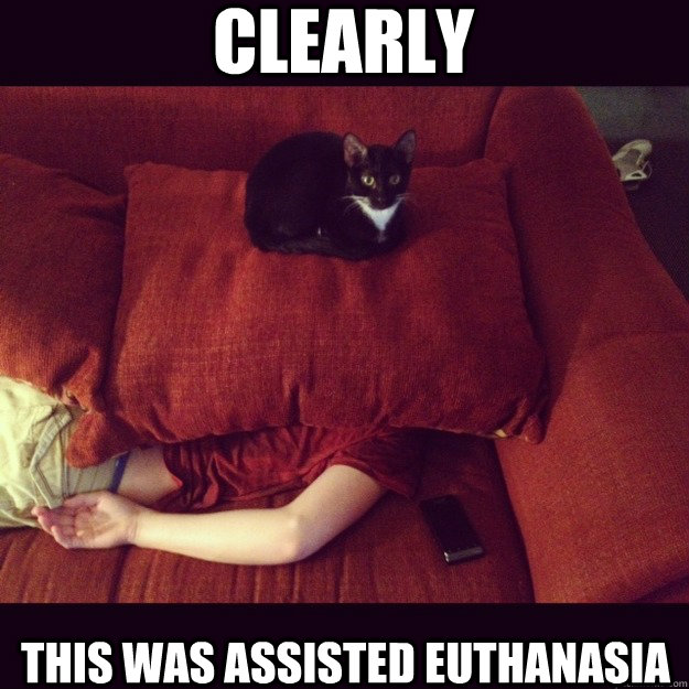 Clearly This was assisted euthanasia  jealous cat