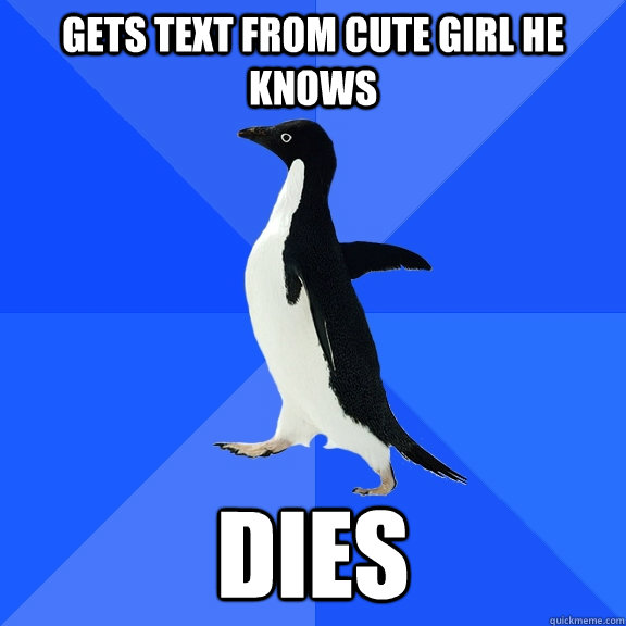 Gets text from cute girl he knows Dies  Socially Awkward Penguin