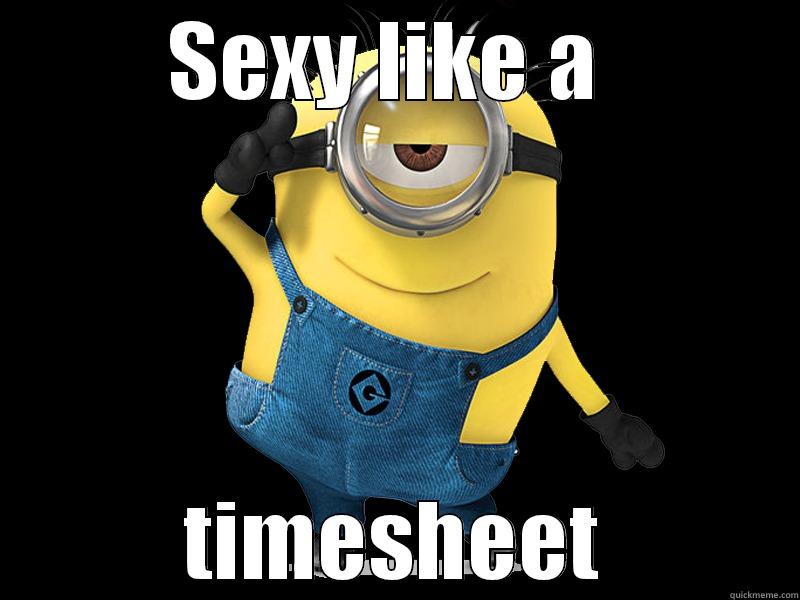 SEXY LIKE A  TIMESHEET Misc