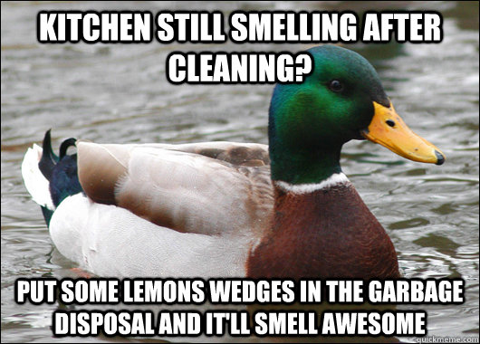 Kitchen still smelling after cleaning? put some lemons wedges in the garbage disposal and it'll smell awesome - Kitchen still smelling after cleaning? put some lemons wedges in the garbage disposal and it'll smell awesome  Actual Advice Mallard