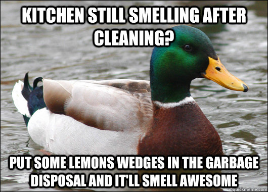 Kitchen still smelling after cleaning? put some lemons wedges in the garbage disposal and it'll smell awesome  Actual Advice Mallard