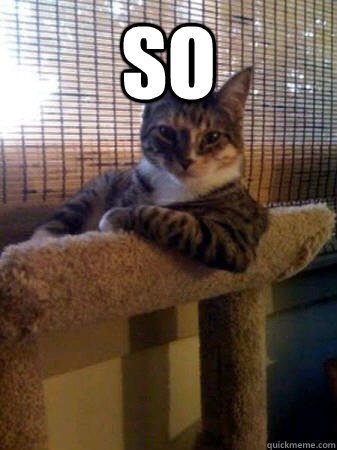 so   The Most Interesting Cat in the World